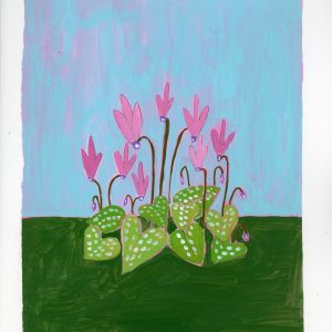 Pink Nobility | אצליות בורוד