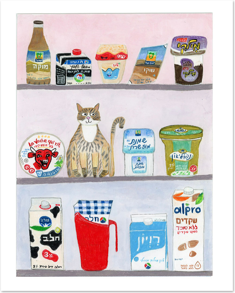 Cat in Pantry 2