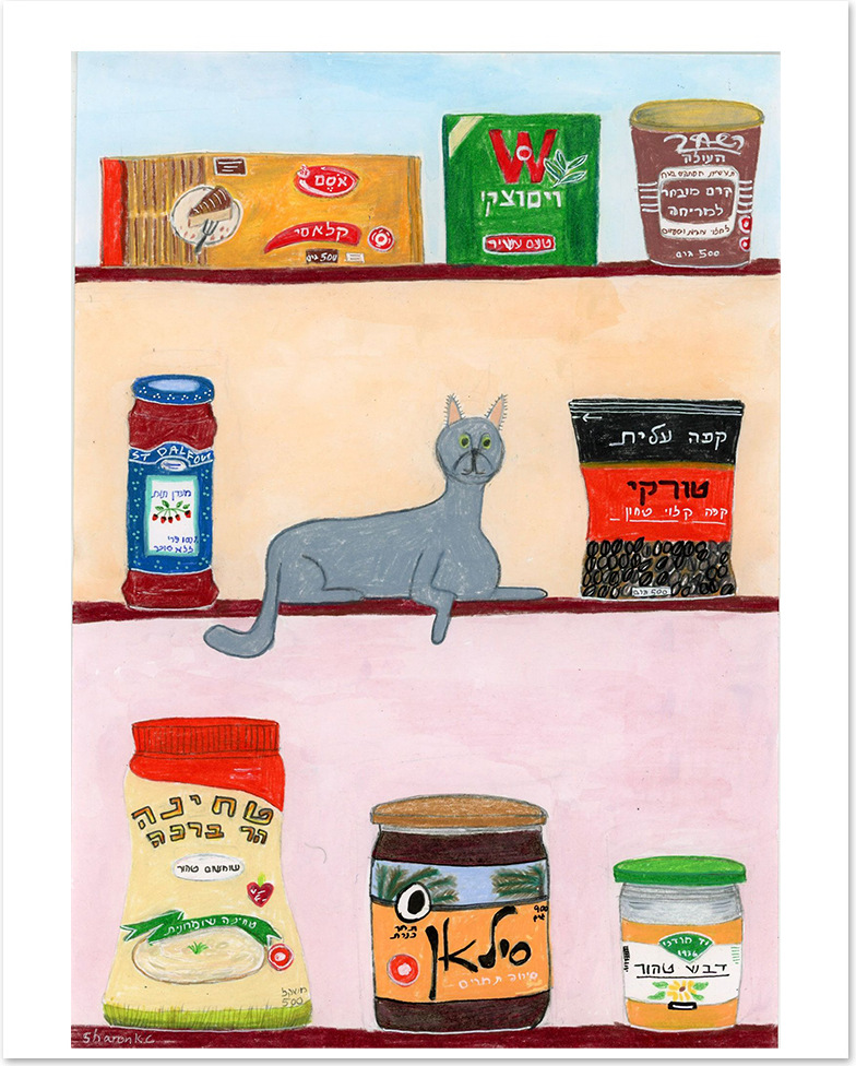 Cat in Pantry 3