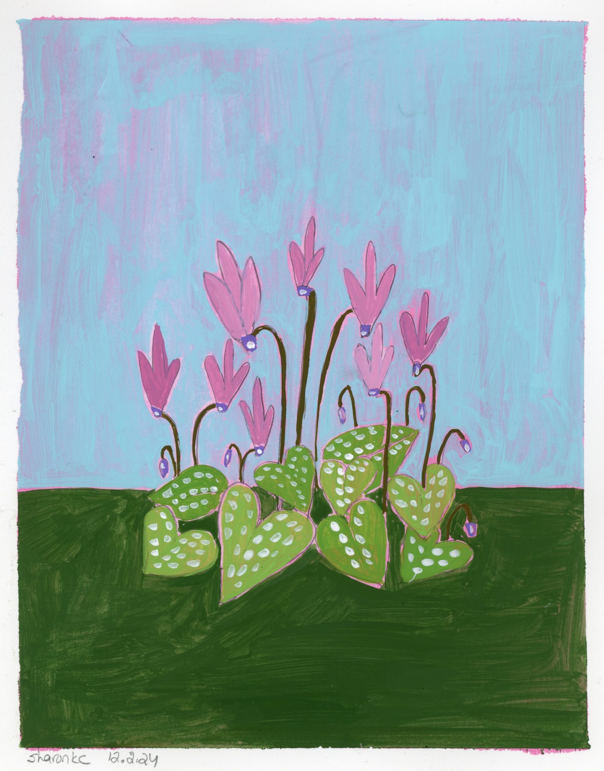 Cyclamen