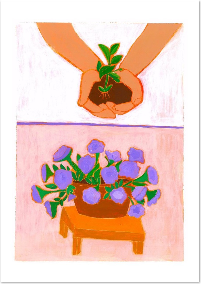 Wild Petunia